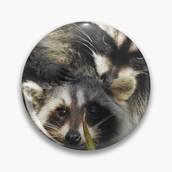 Item preview, Raccoon mother love... designed and sold by RichImage.