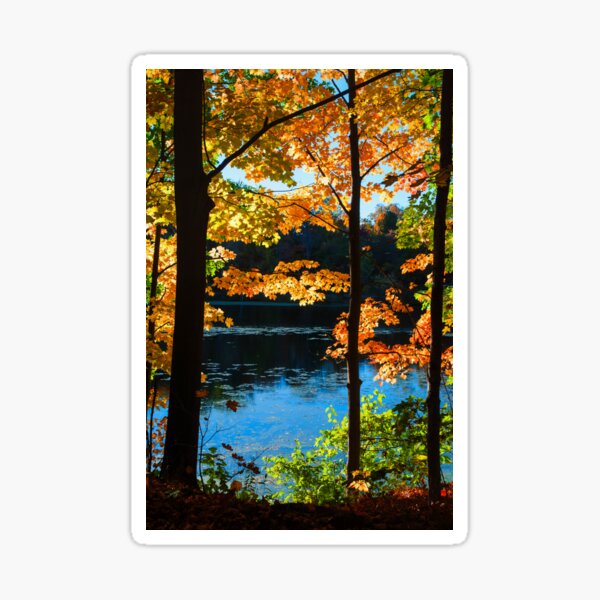 Foliage by the Nashua River Sticker