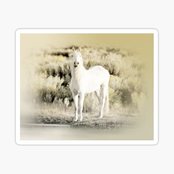 Lone White Mare Sticker