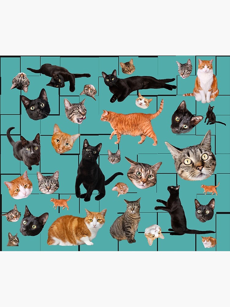 24 cuadernos pequeños con diseño de animales y gatos, pequeños cuadernos de  bolsillo en espiral para mascotas, gatos, recuerdos de fiesta de gatos