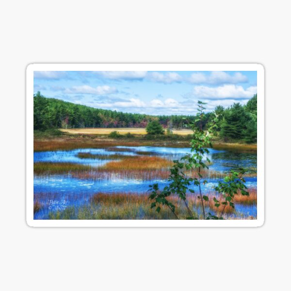 The Magic of Acadia Sticker