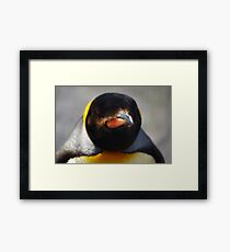 Emperor Penguin Framed Print