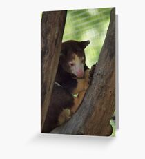 Kansas city Zoo Greeting Card
