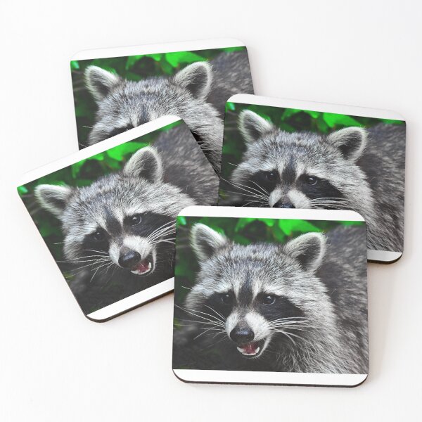 Item preview, Raccoon visit designed and sold by Glineur.