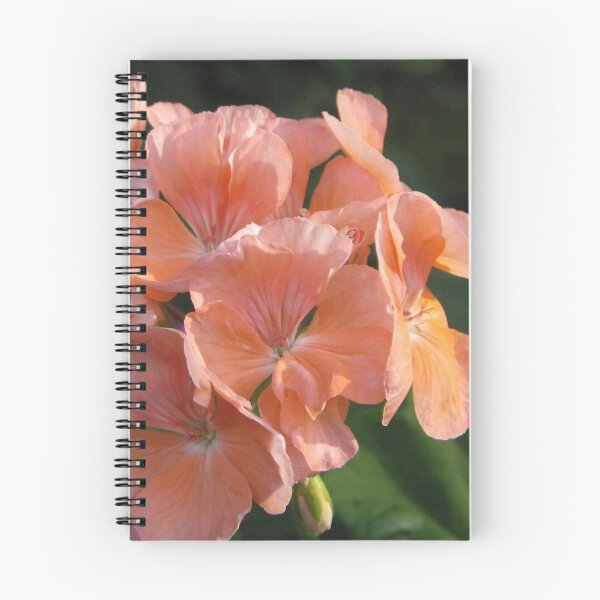 Item preview, Pelargonium designed and sold by Betty Mackey.