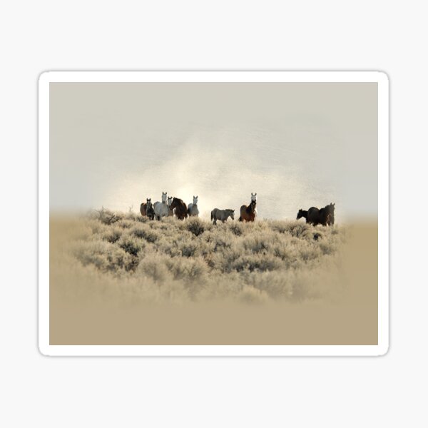 Dusty Trails Sticker
