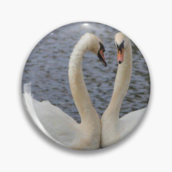 Item preview, Swan Love designed and sold by dredfell.
