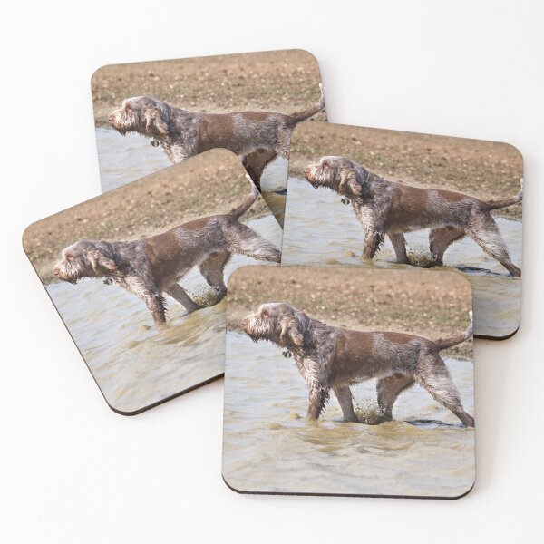 Item preview, Wading through water Spinone designed and sold by FOLK ART FUSION by heidiannemorris.