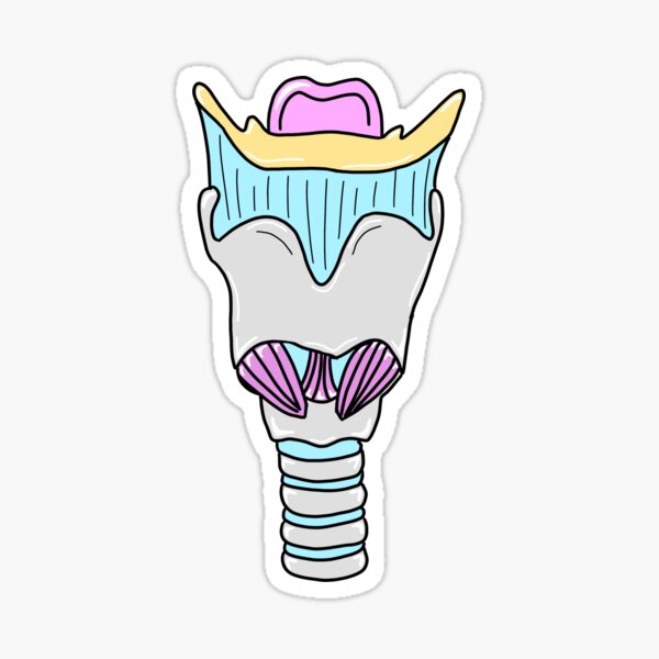 Realistic Larynx Sticker For Sale By Kru22 Redbubble 4992