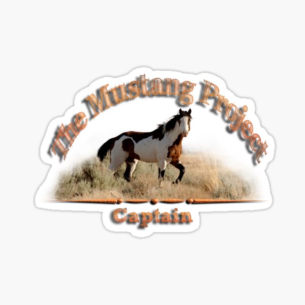 Captain Sticker