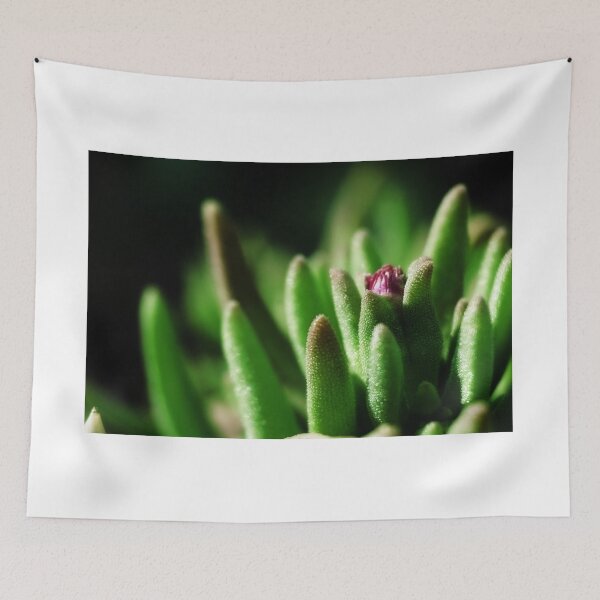 Item preview, A small flower of a houseleek plant in a garden designed and sold by ToniStauche.