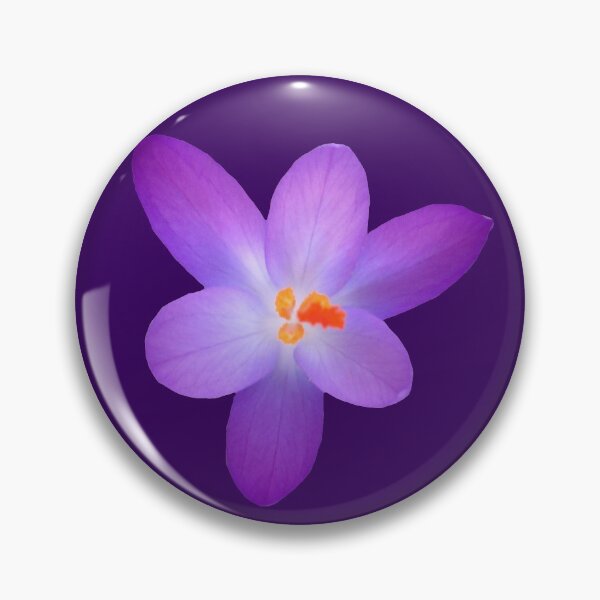 Item preview, purple crocus, violet crocuses designed and sold by rhnaturestyles.