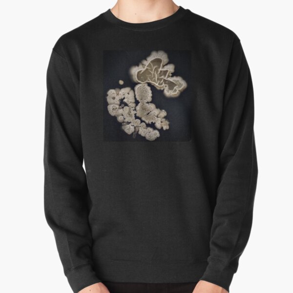 What's on Your Shoe? Pullover Sweatshirt