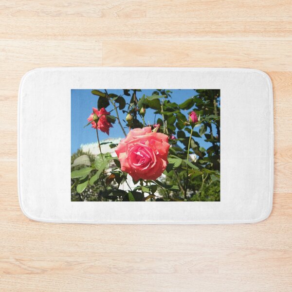 Item preview, Jersey City, New Jersey, Rose Close-Up, Van Vorst Park designed and sold by lenspiro.