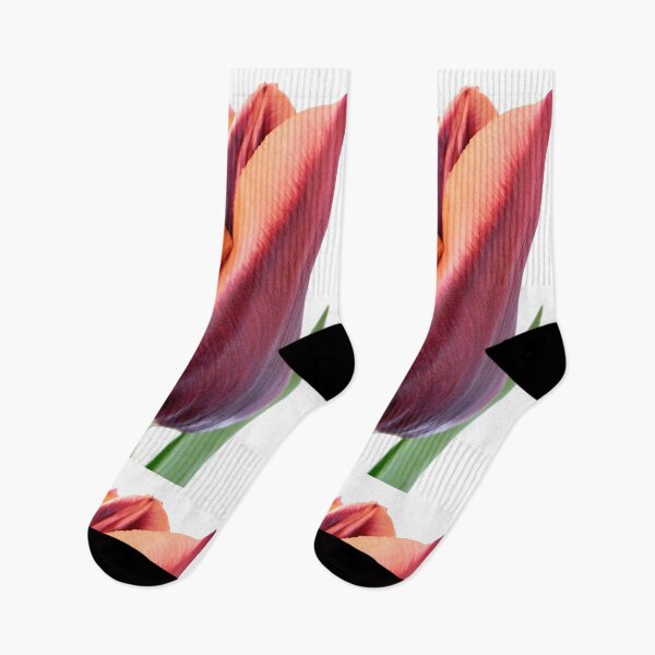Item preview, Tulipa & # 39; Slawa & # 39; Triumph Tulip designed and sold by Chris Burrows.