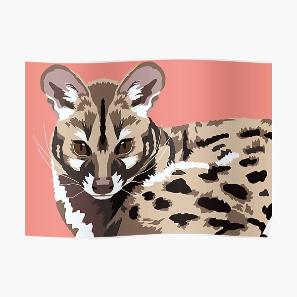 Genet Portrait Poster