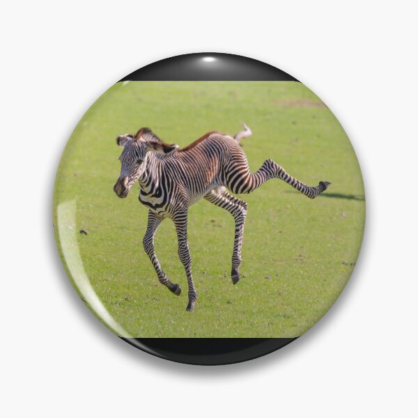 Item preview, Dancing Queen Zebra designed and sold by photosbygemmad.