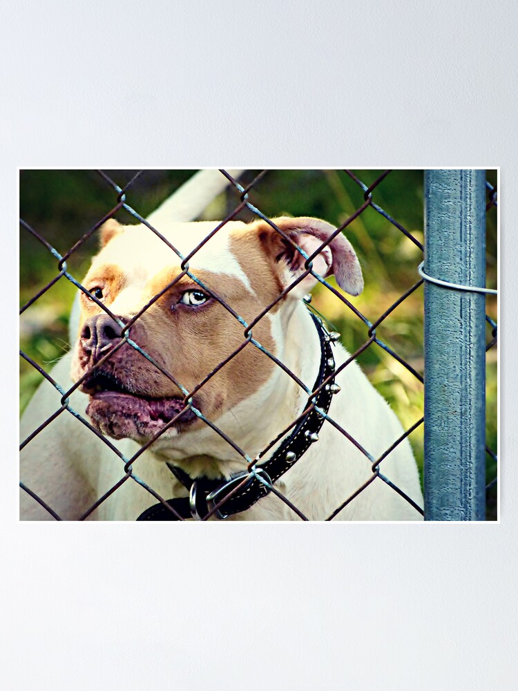 Cummon Make My Day Poster Von Happyhead64 Redbubble cummon make my day poster von happyhead64 redbubble