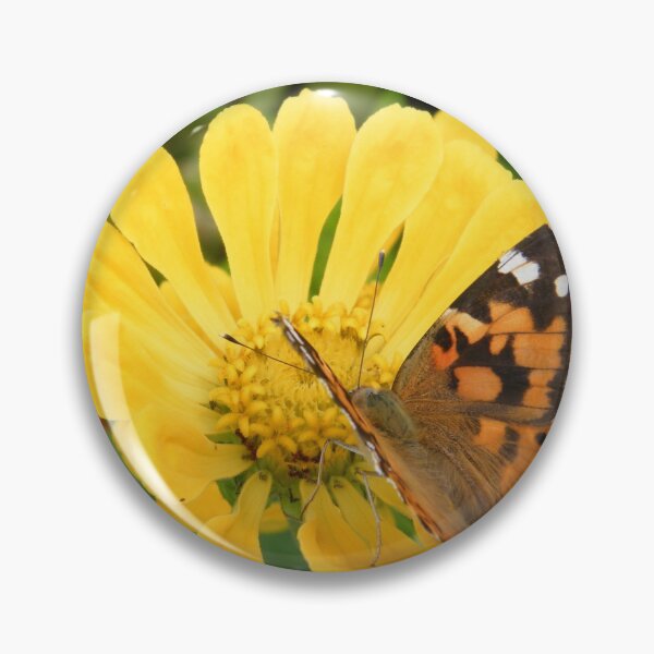 Item preview, Butterfly and Flower Close-Up, Bronx, New York City designed and sold by lenspiro.