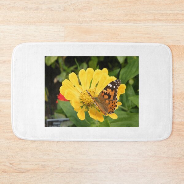 Item preview, Butterfly and Flower Close-Up, Bronx, New York City designed and sold by lenspiro.