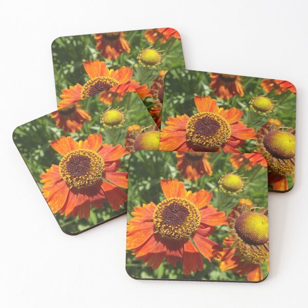 Item preview, Flower Close-Up, New York City designed and sold by lenspiro.