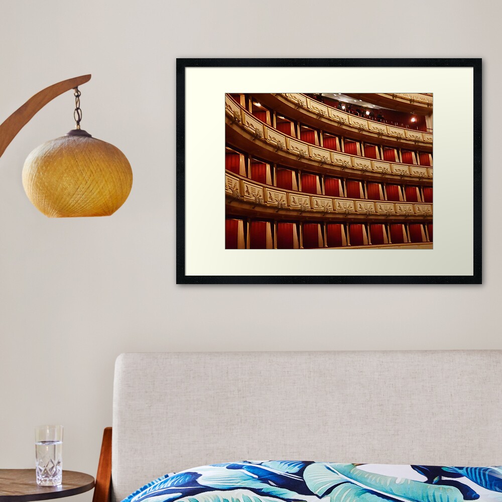 Opera House Framed Art Print