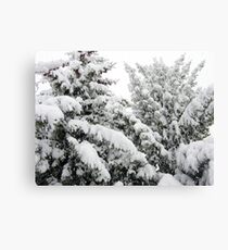 Spring Snowstorm Canvas Print