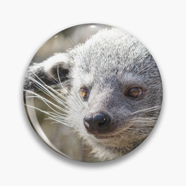 Item preview, Smiling binturong designed and sold by photosbygemmad.