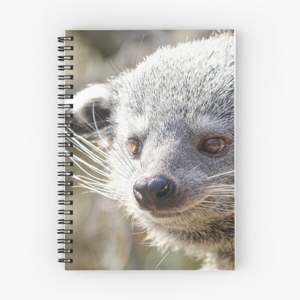 Item preview, Smiling binturong designed and sold by photosbygemmad.