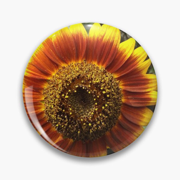 Item preview, Sunflower Close-Up,  New York City designed and sold by lenspiro.