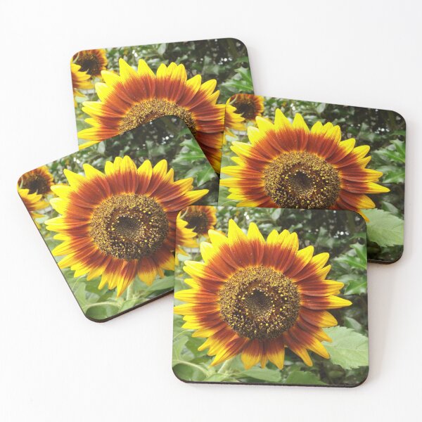Item preview, Sunflower Close-Up,  New York City designed and sold by lenspiro.