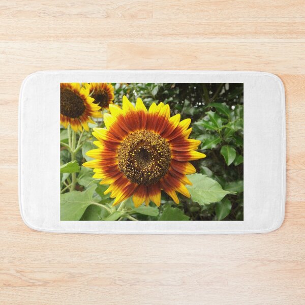 Item preview, Sunflower Close-Up, New York City designed and sold by lenspiro.