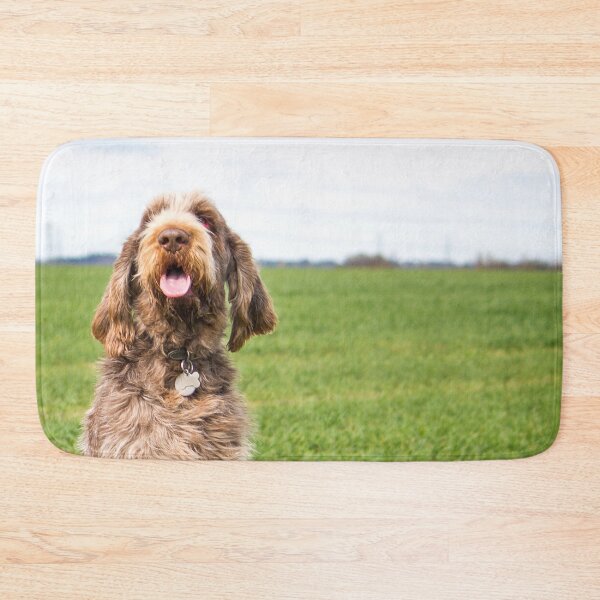 Item preview, Italian Spinone Dogs Luca and Nico by heidiannemorris designed and sold by FOLK ART FUSION by heidiannemorris.