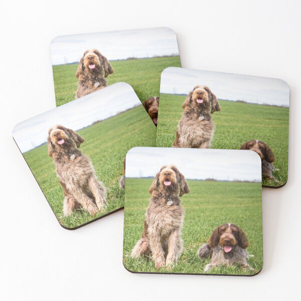 Item preview, Italian Spinone Dogs Luca and Nico by heidiannemorris designed and sold by FOLK ART FUSION by heidiannemorris.