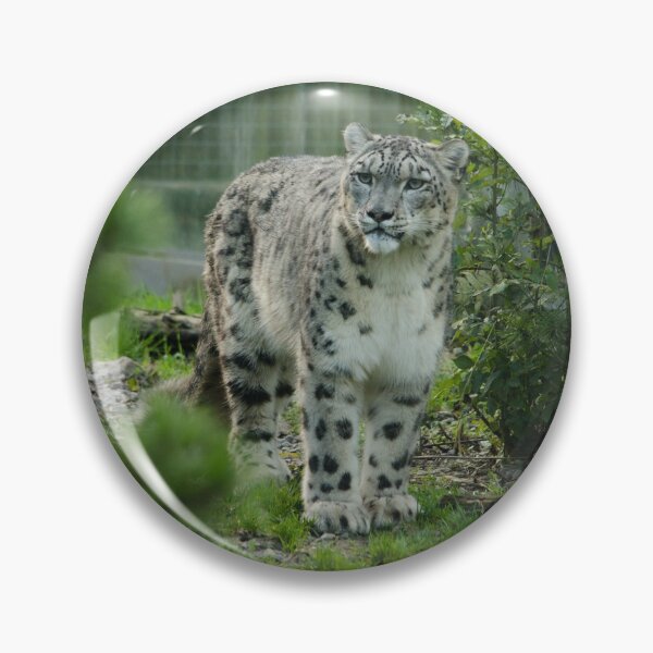 Item preview, Snow leopard designed and sold by photosbygemmad.