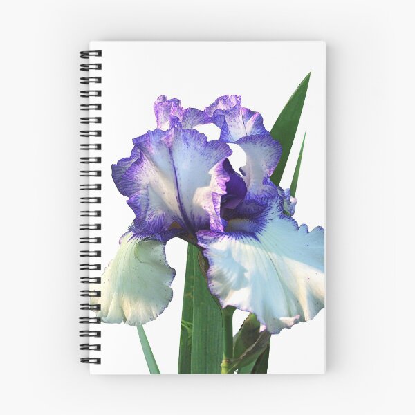 Item preview, Iris 'freedom Song' On White designed and sold by rvjames.