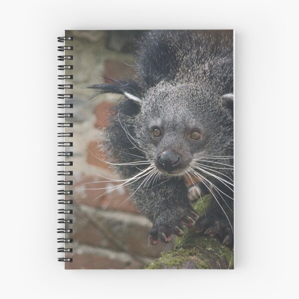 Item preview, Binturong  designed and sold by photosbygemmad.
