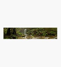 Hopetoun Falls Panorama II Photographic Print