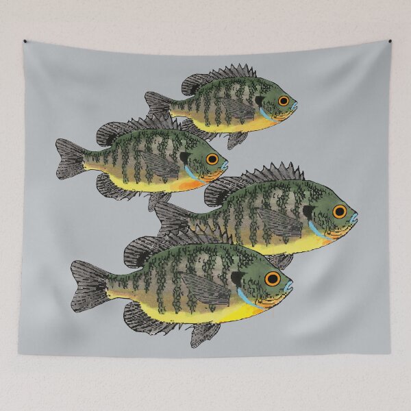 Item preview, Bluegill Sunfish School designed and sold by fishfolkart.