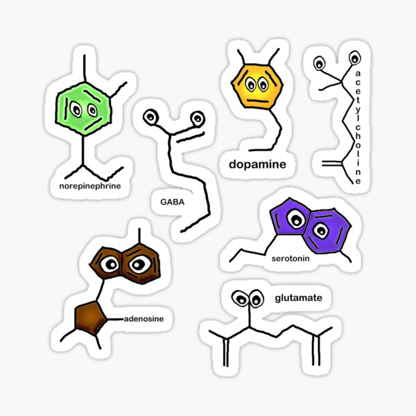Neurotransmitter Sticker Sheet Sticker