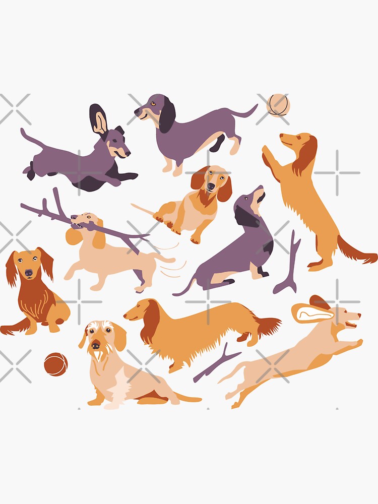 Dachshunds Sticker For Sale By Camcreativedk Redbubble