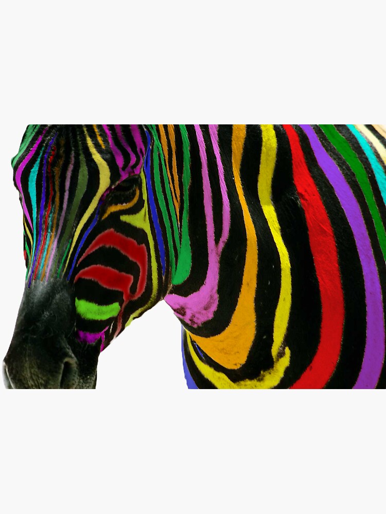 "Rainbow Zebra" Stickers by saifty Redbubble