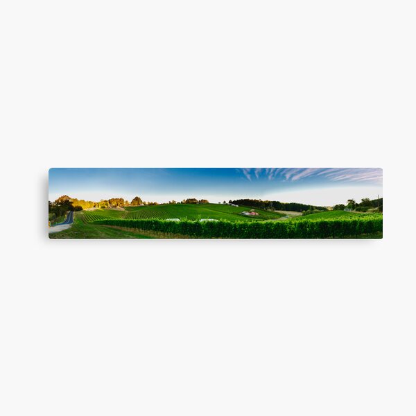 Vineyards Canvas Print