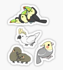 Burd Stickers Sticker