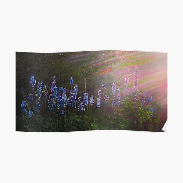 Delphiniums Backlit By Evening Sunlight Poster