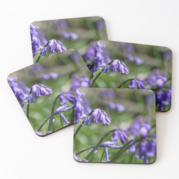 Item preview, Bluebells II designed and sold by GreyFeatherPhot.