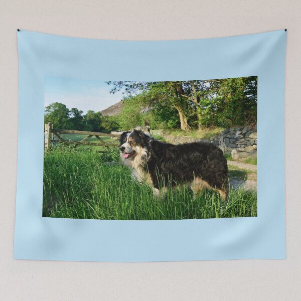 Item preview, Laddie in lockdown designed and sold by Michael Haslam.
