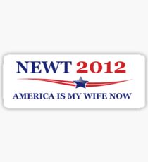 NEWT 2012: America Is My Wife Now Sticker