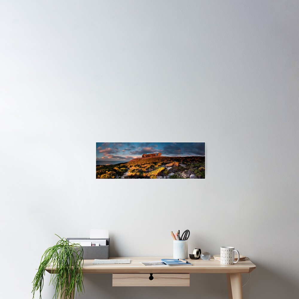 Remarkable Rocks Pano Poster