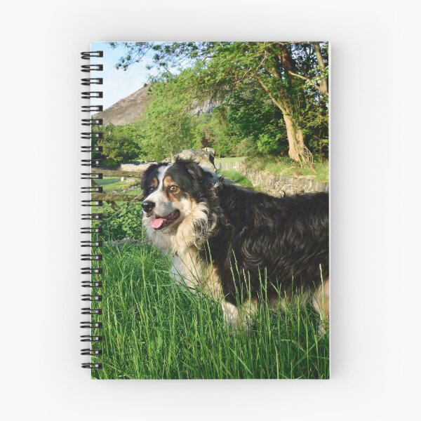Item preview, Laddie in lockdown designed and sold by Michael Haslam.